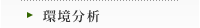 環境分析